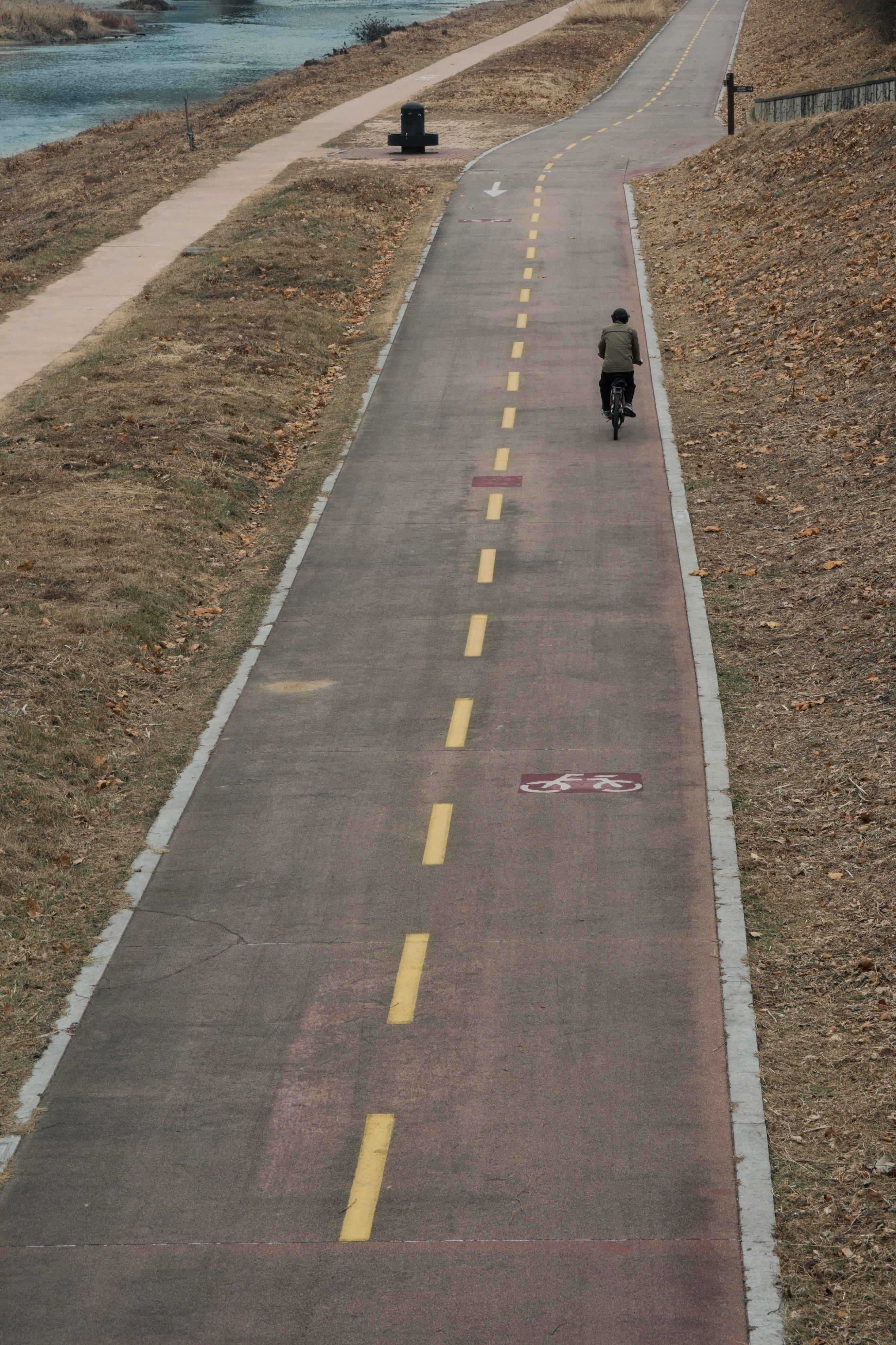 man riding bicycle on road